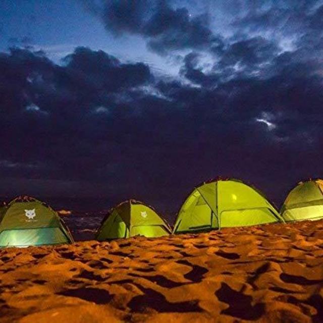 Night Cat Camping Tent 2  Person Easy Instant Pop Up Tent Automatic Hydraulic Double Layer