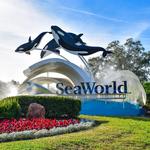 SeaWorld Orlando