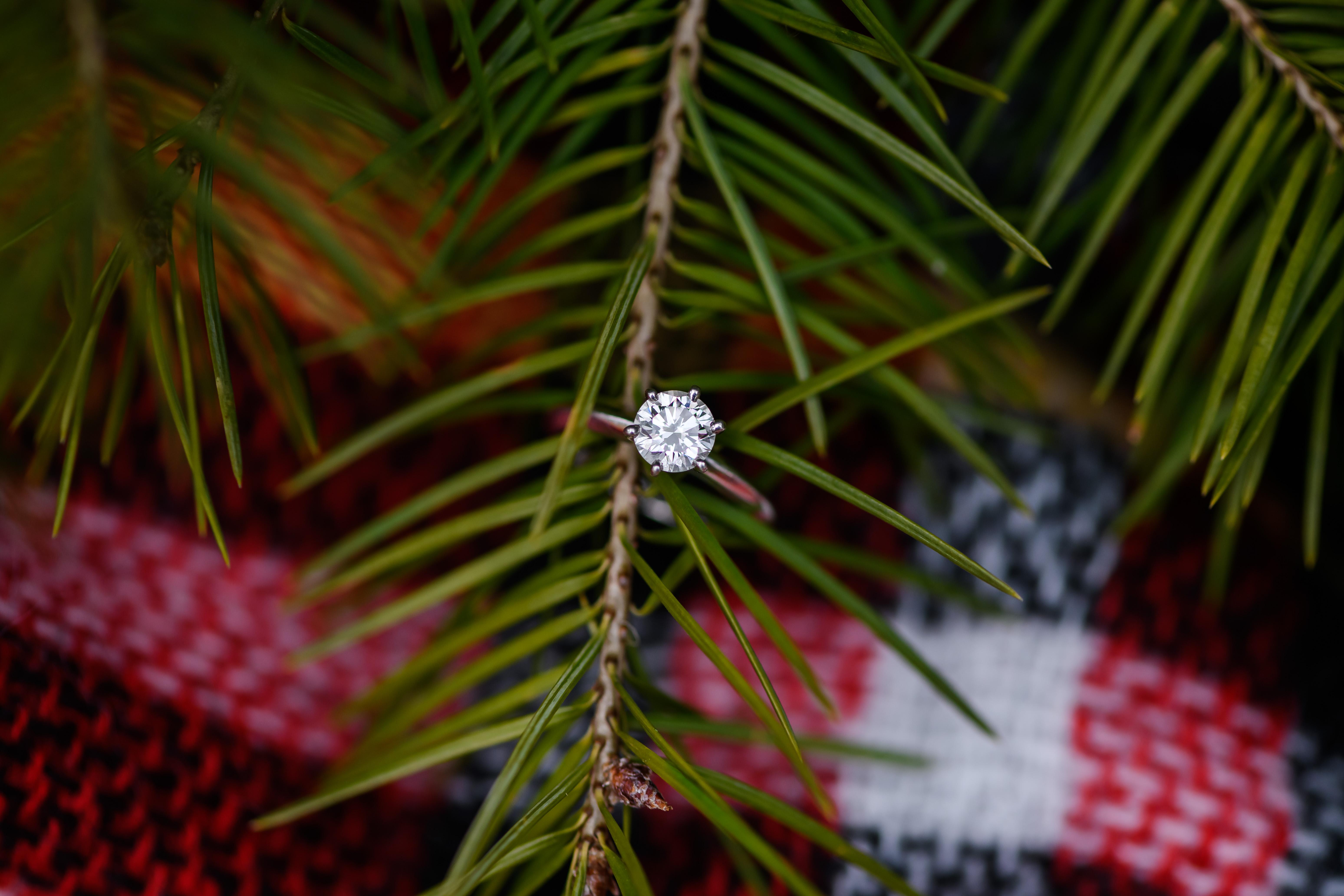 The Wedding Website of Michelle Palladino and Matthew Ciociola