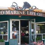 Feiro Marine Life Center
