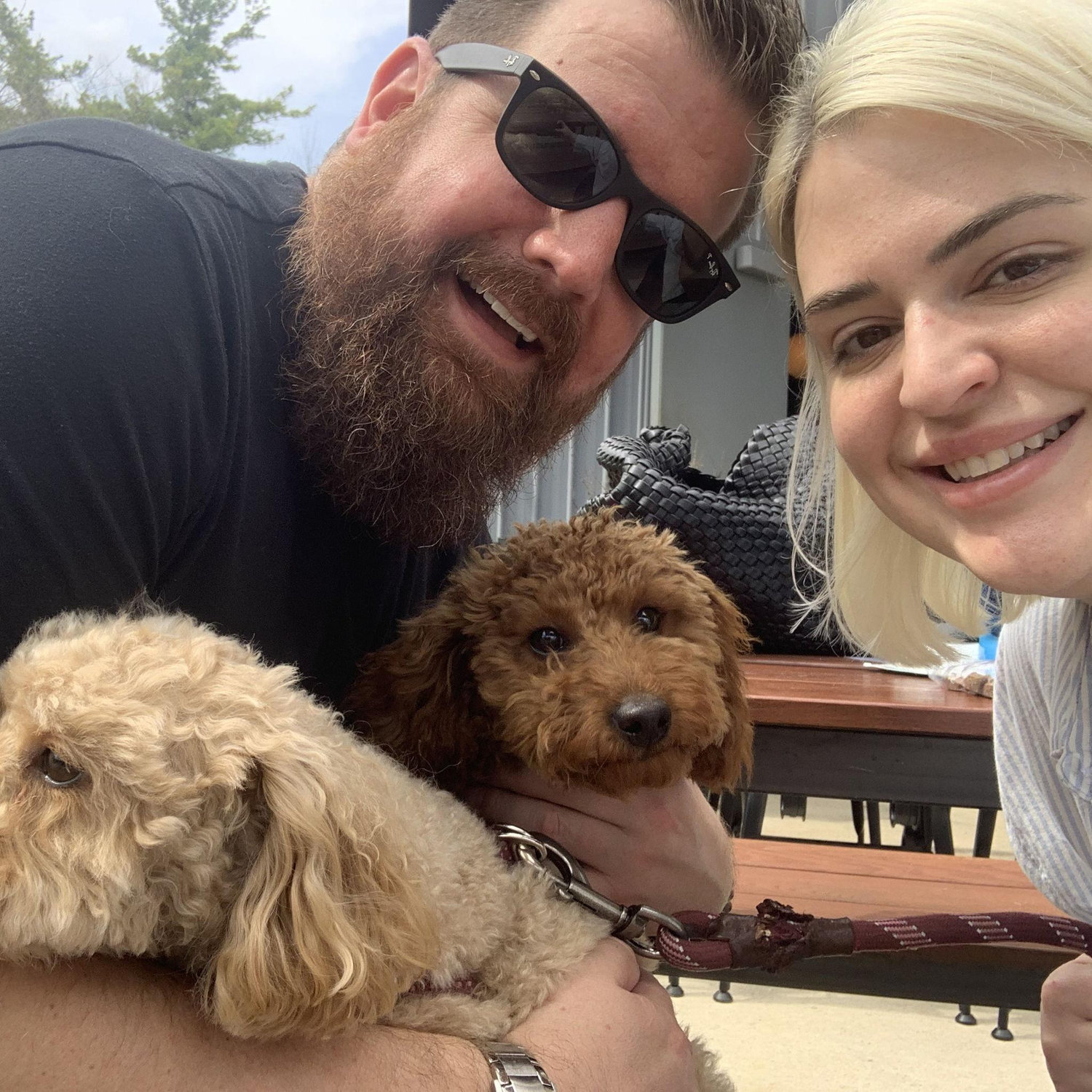 Brewdog with our dogs.