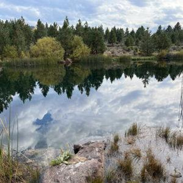 Wildlife tours in Portugal and Italy