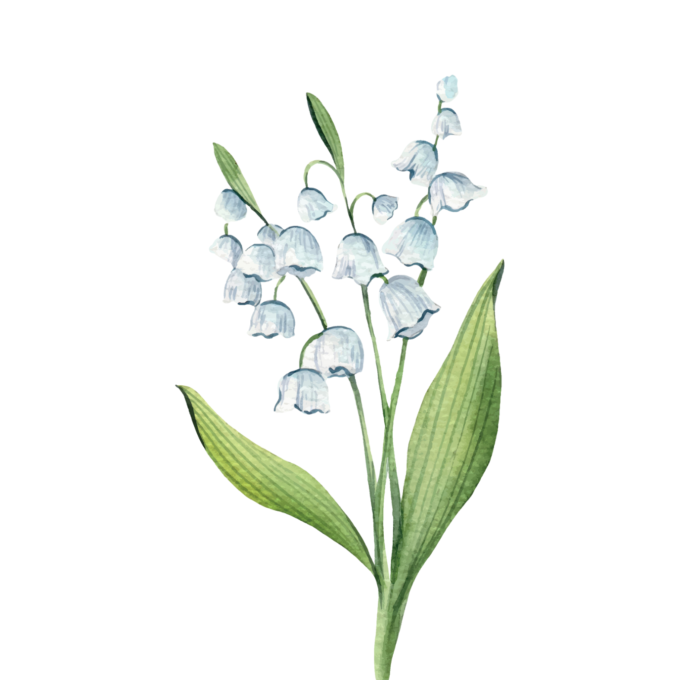 The Wedding Website of Maggie Lombardi and RJ Klinke