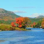 Little Long Pond
