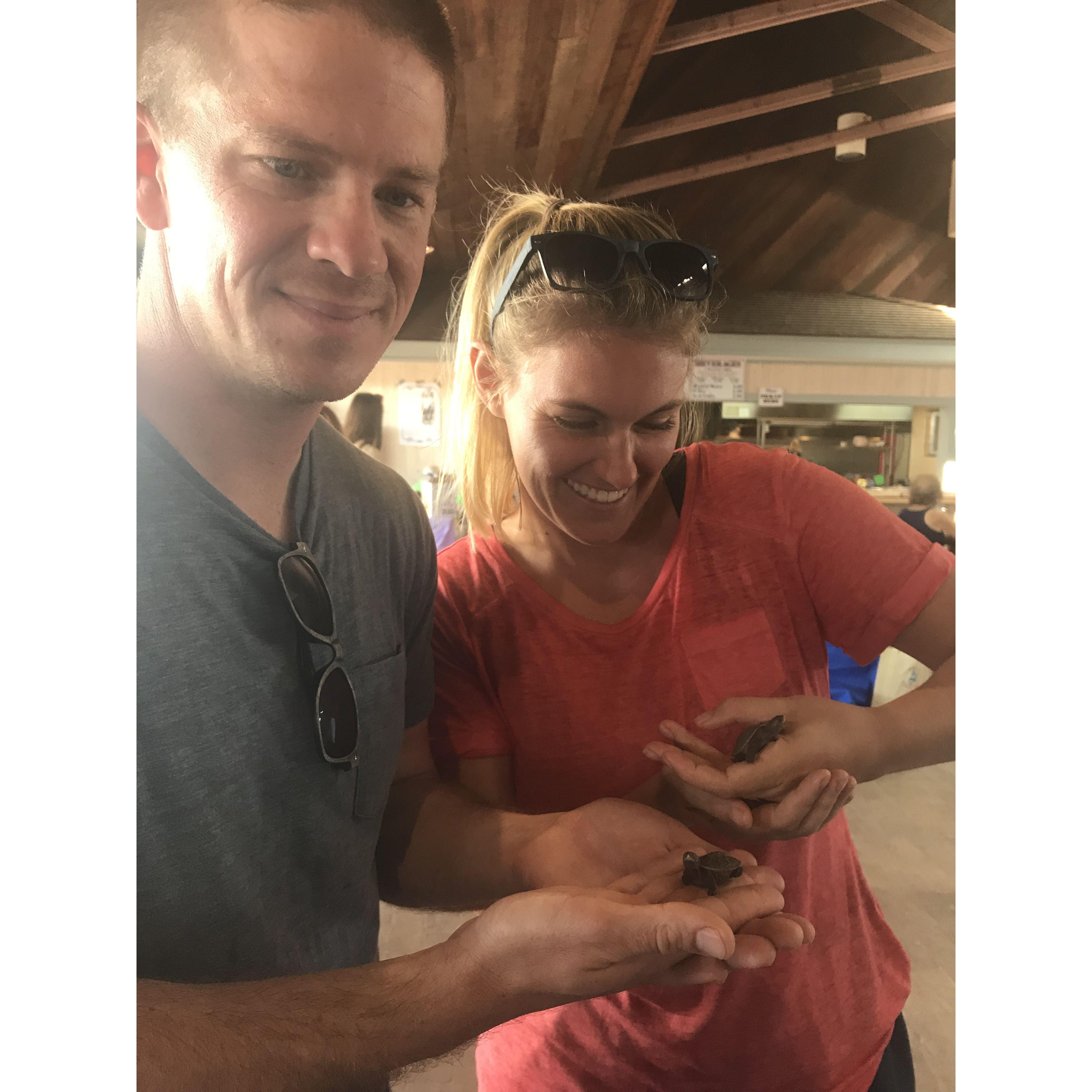 baby turtles in New Jersey