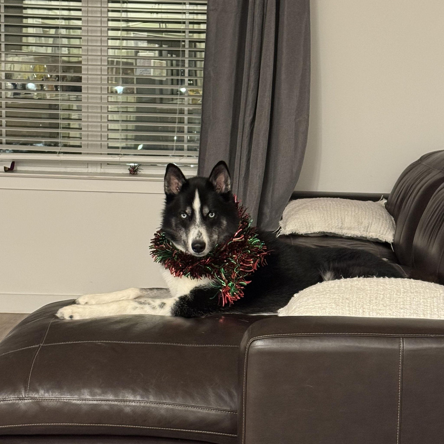 our bodie
