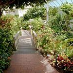 The Key West Butterfly and Nature Conservatory