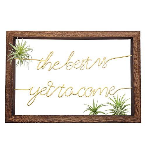Dahey Air Plant Holder Hanging Airplant Frame Hanger Wood Wall Art Metal Wire Living Room Signs Tillandsia Display Rustic Home Decor for Dorm Nursery Weeding Office