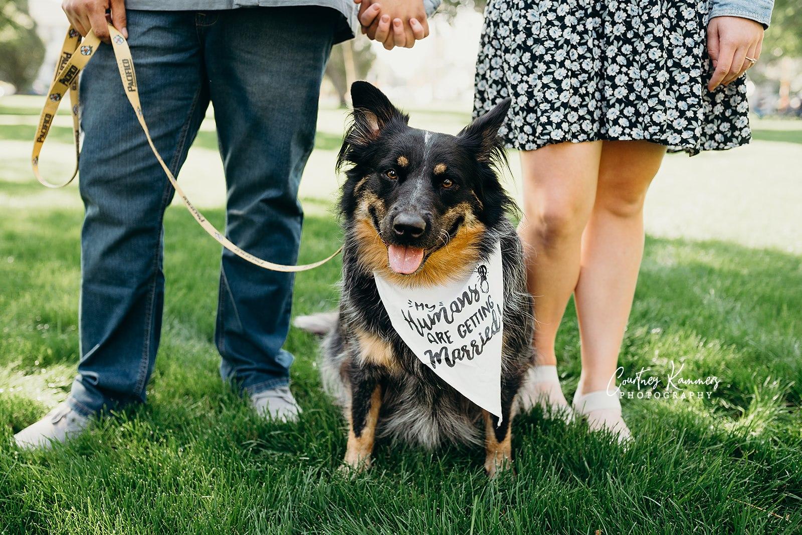 The Wedding Website of Malachi Leishman and Kelsey Dressen