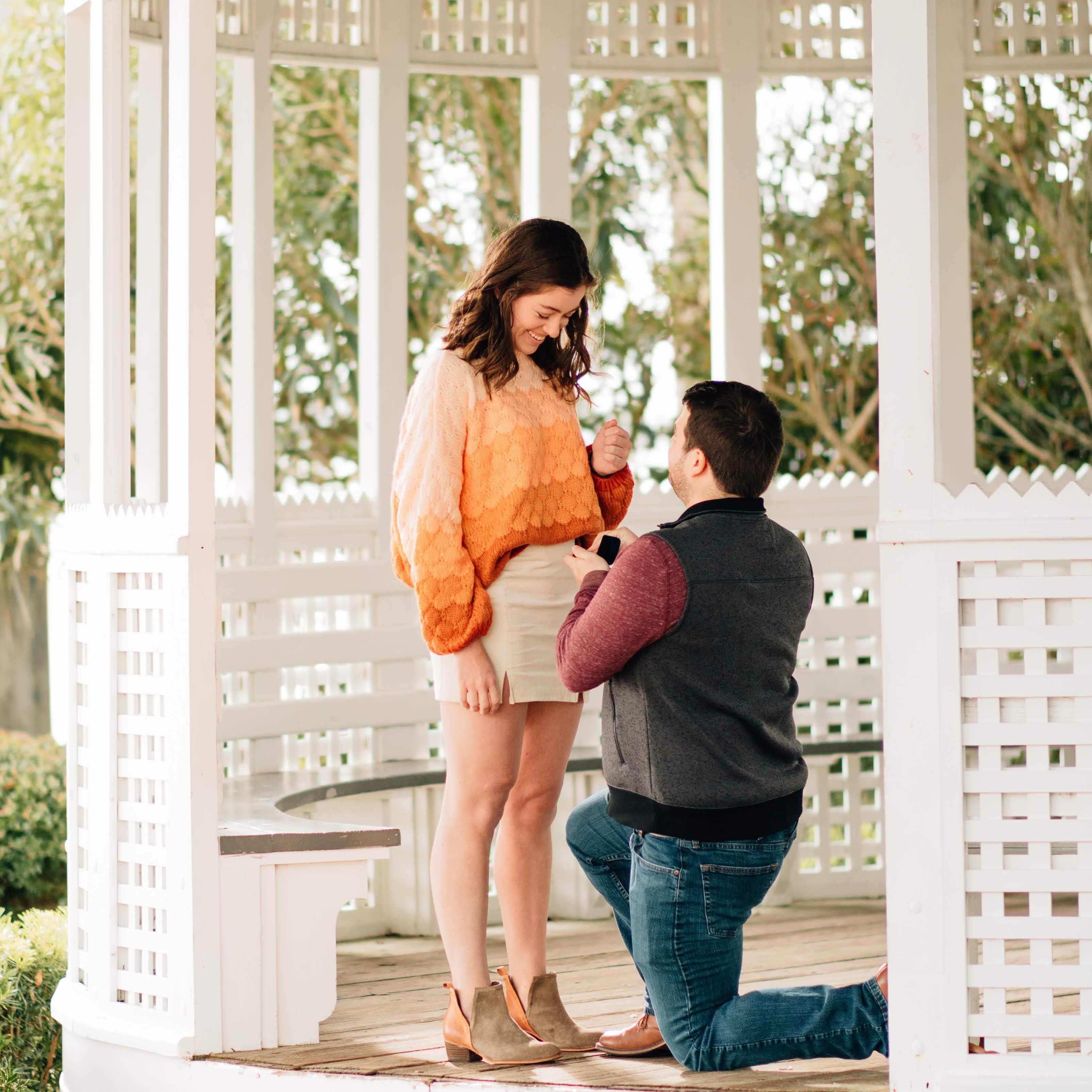 the proposal