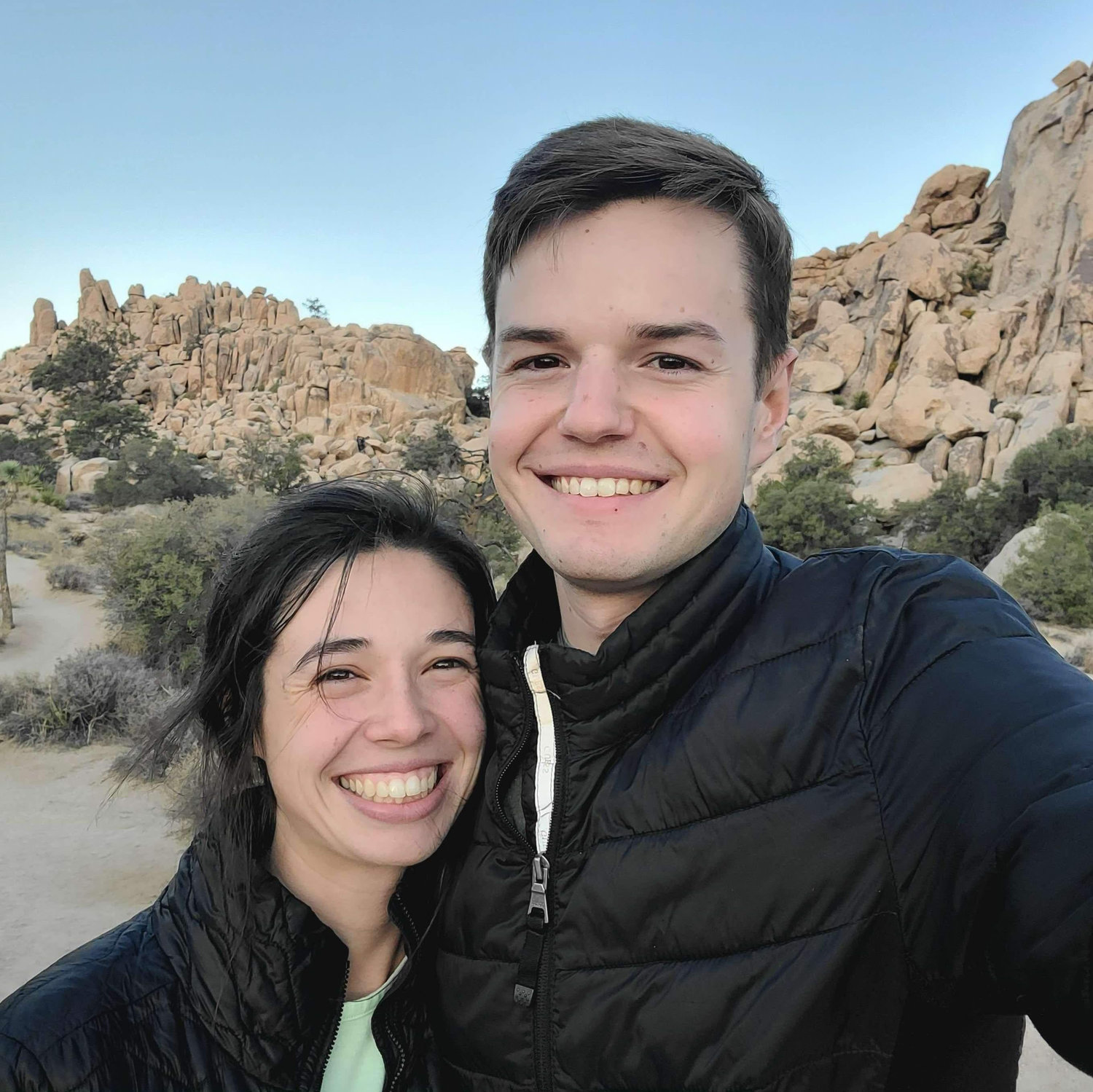 Joshua tree
