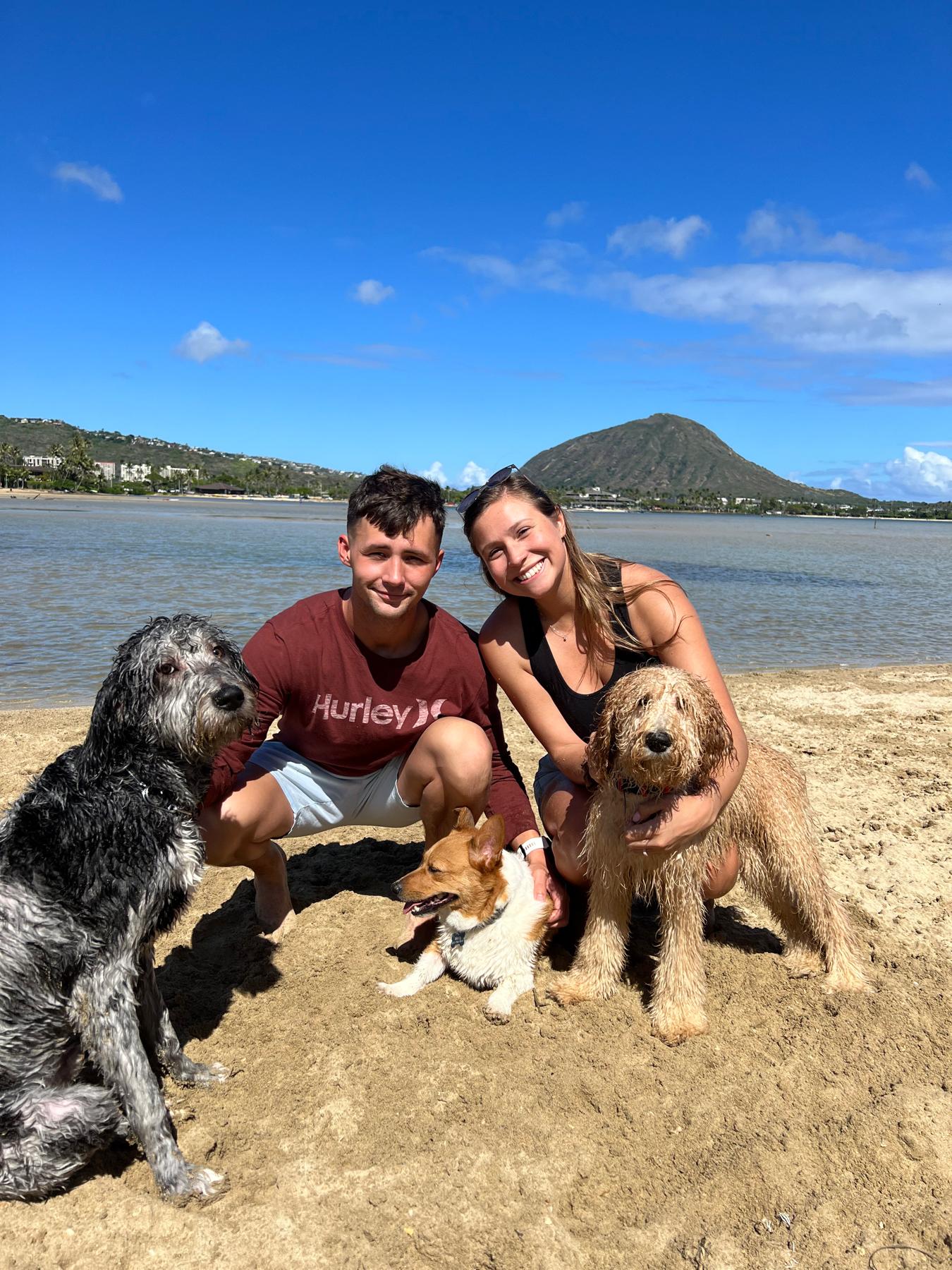 Our three boys Tucker, Morty and Marshall 🐾