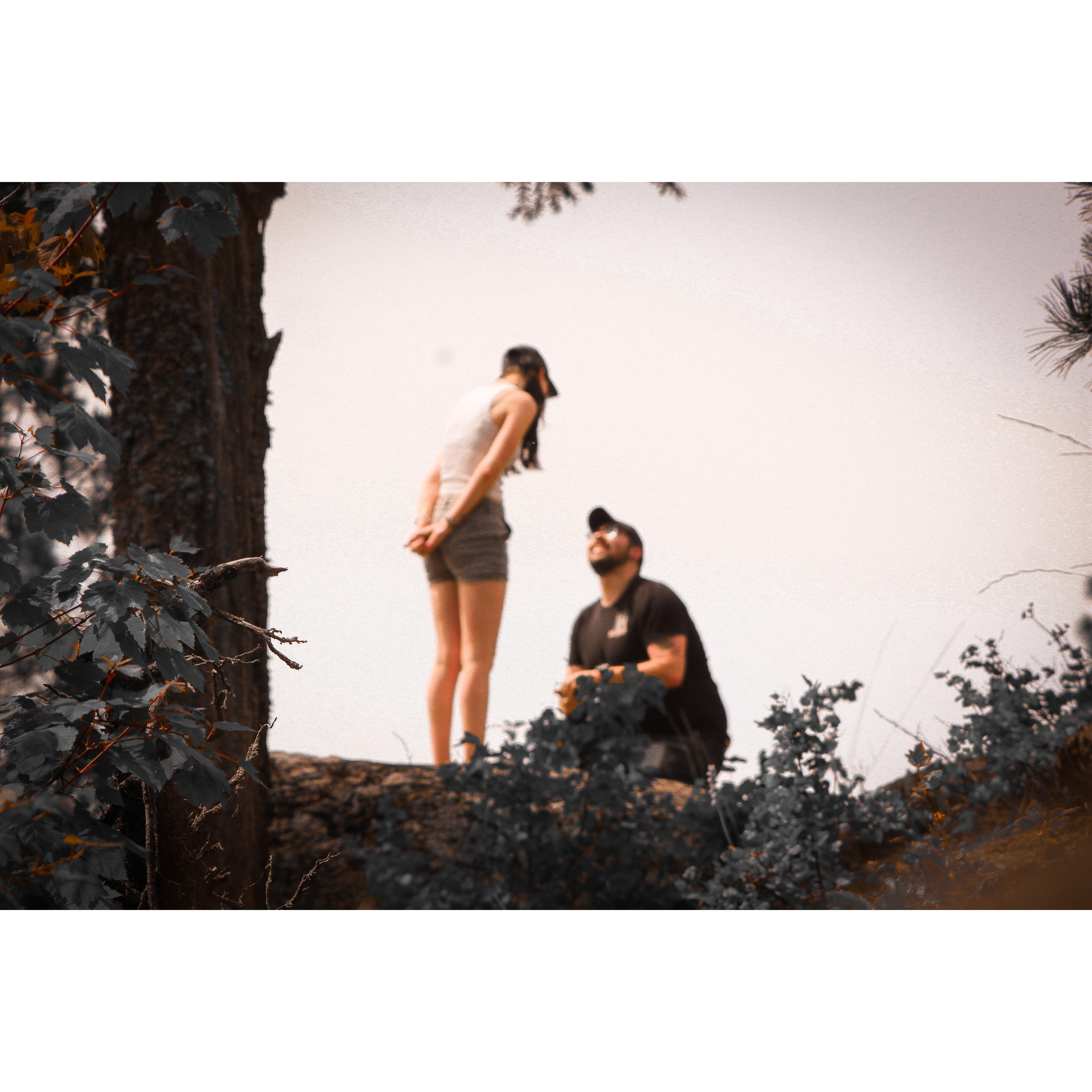 The Proposal