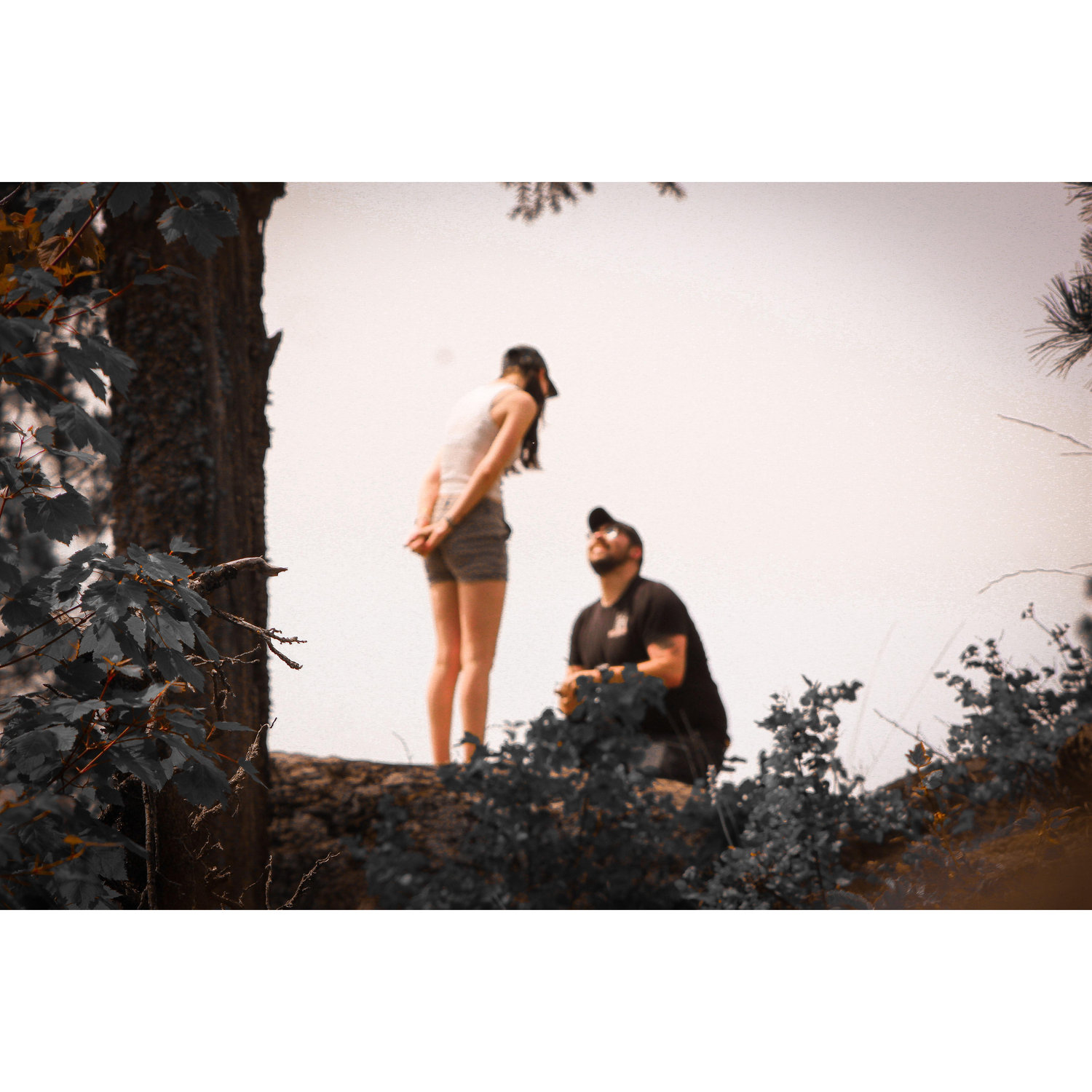 The Proposal
