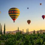Soar Above Wine Country: Hot Air Balloon Rides in Temecula