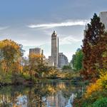 Central Park