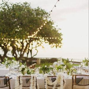 Wedding Fund
