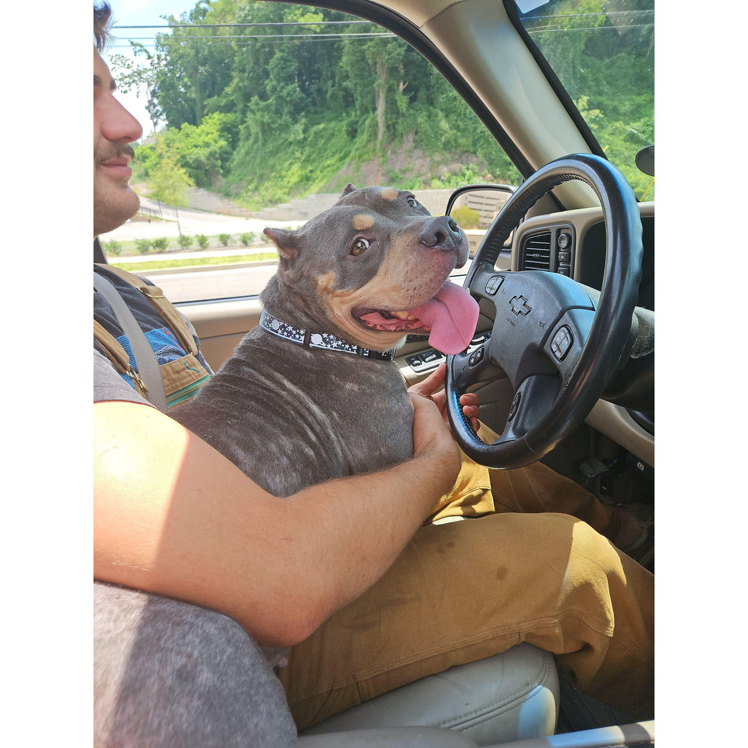 Our first pet adoption (Petunia Grace Cubbedge)