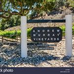 Andrew Murray Vineyards