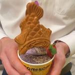 SOMISOMI