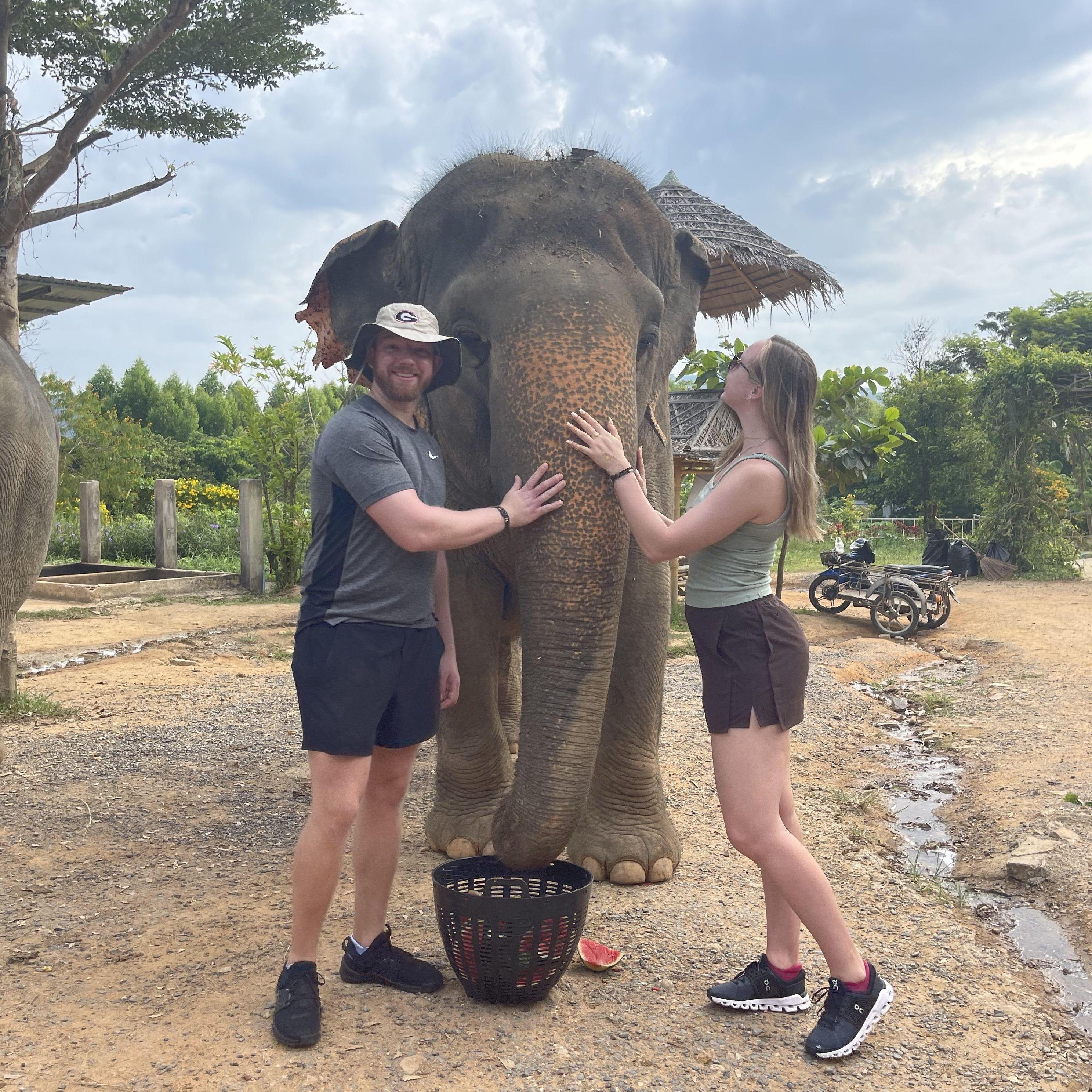 Getting to feed and bathe with elephants