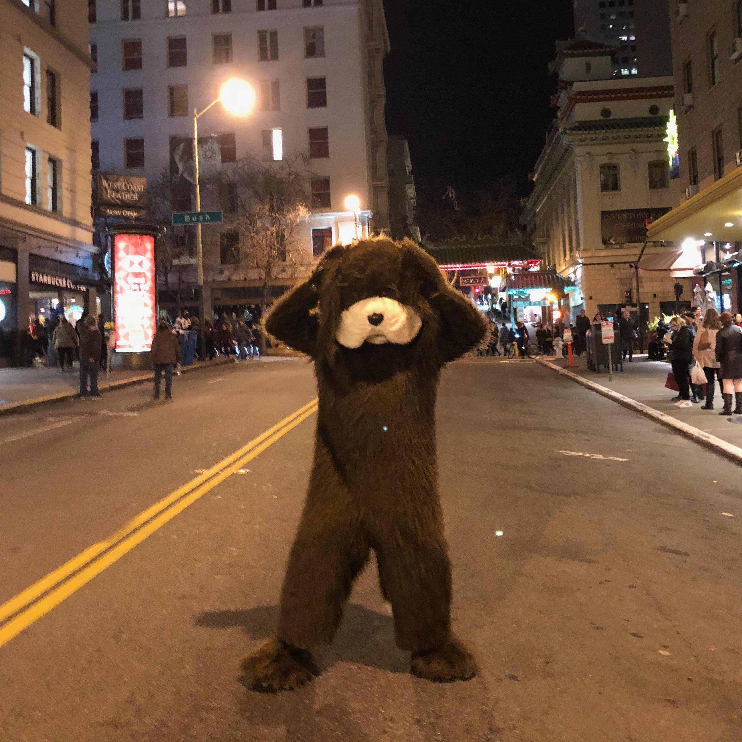 Tommy at Year of the Dog SF Chinese Parade