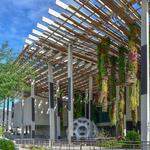 Pérez Art Museum Miami