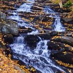 Falling Waters Preserve