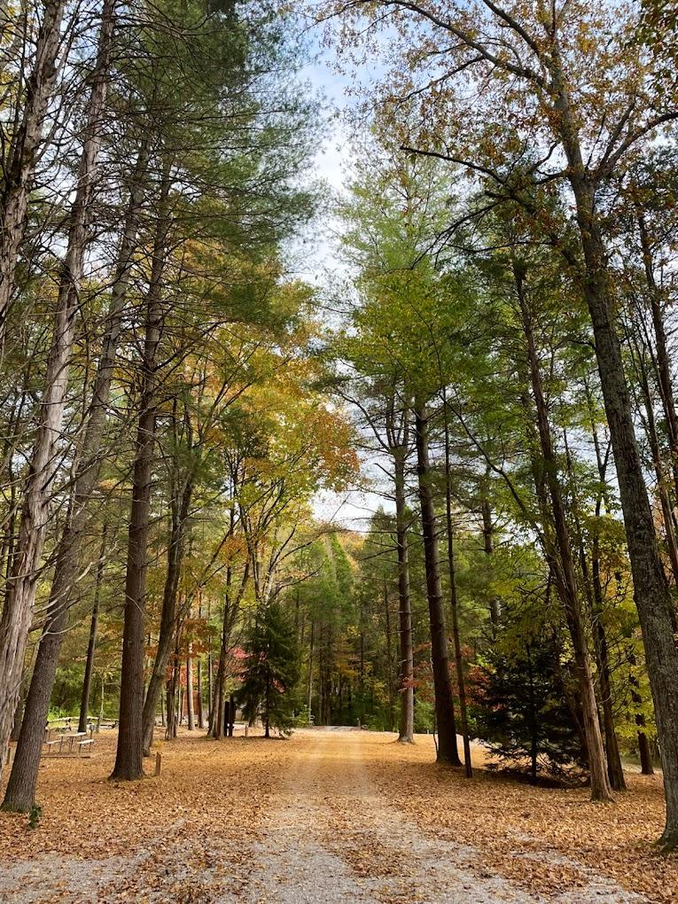 The Wedding Website of Madison Gall and Austin Brinkley