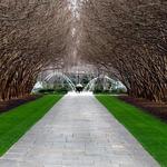 The Dallas Arboretum