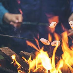 Wedding: S’mores for Everyone (Yes, Everyone)