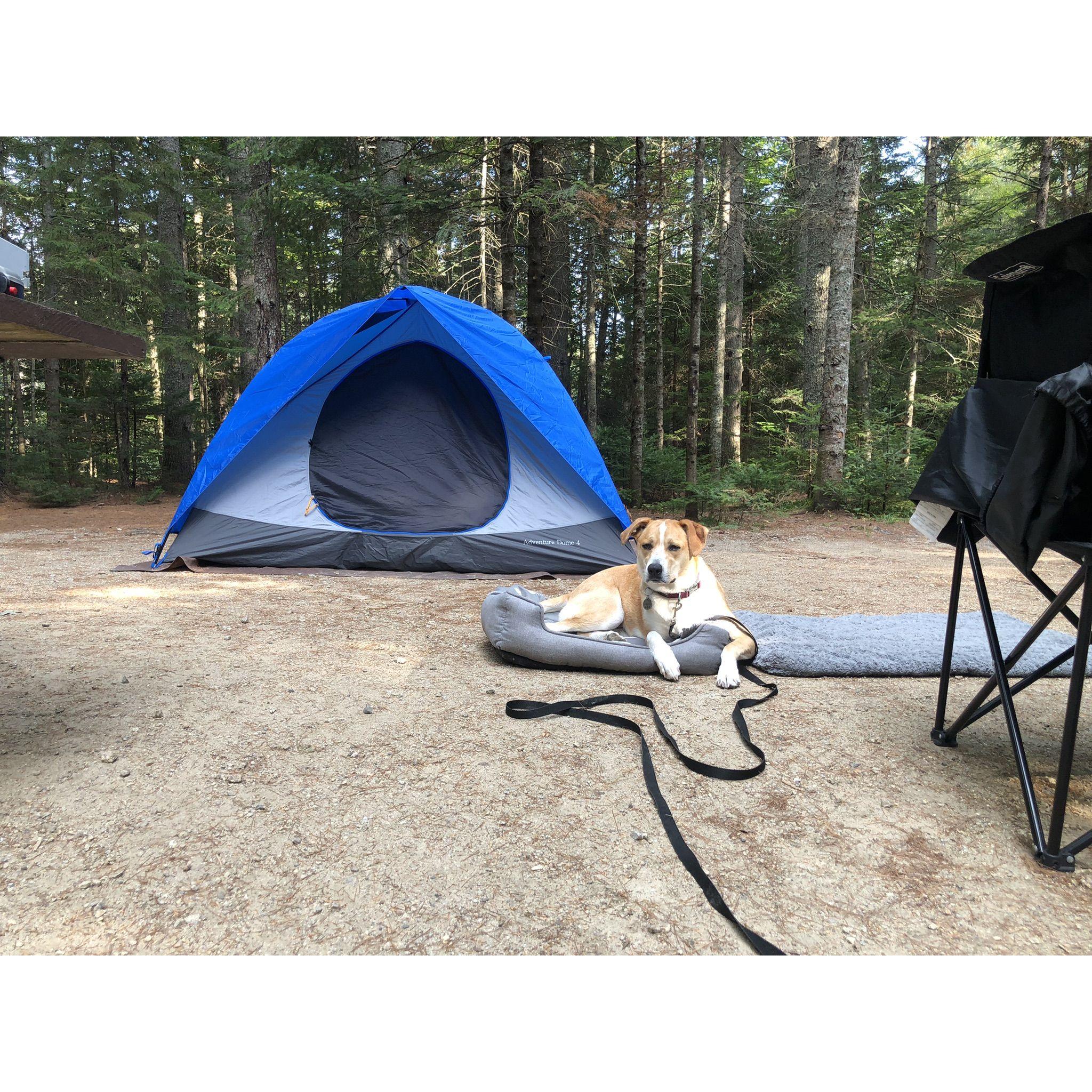 Camping White Mts. 2022!