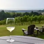 Grand Traverse Wineries