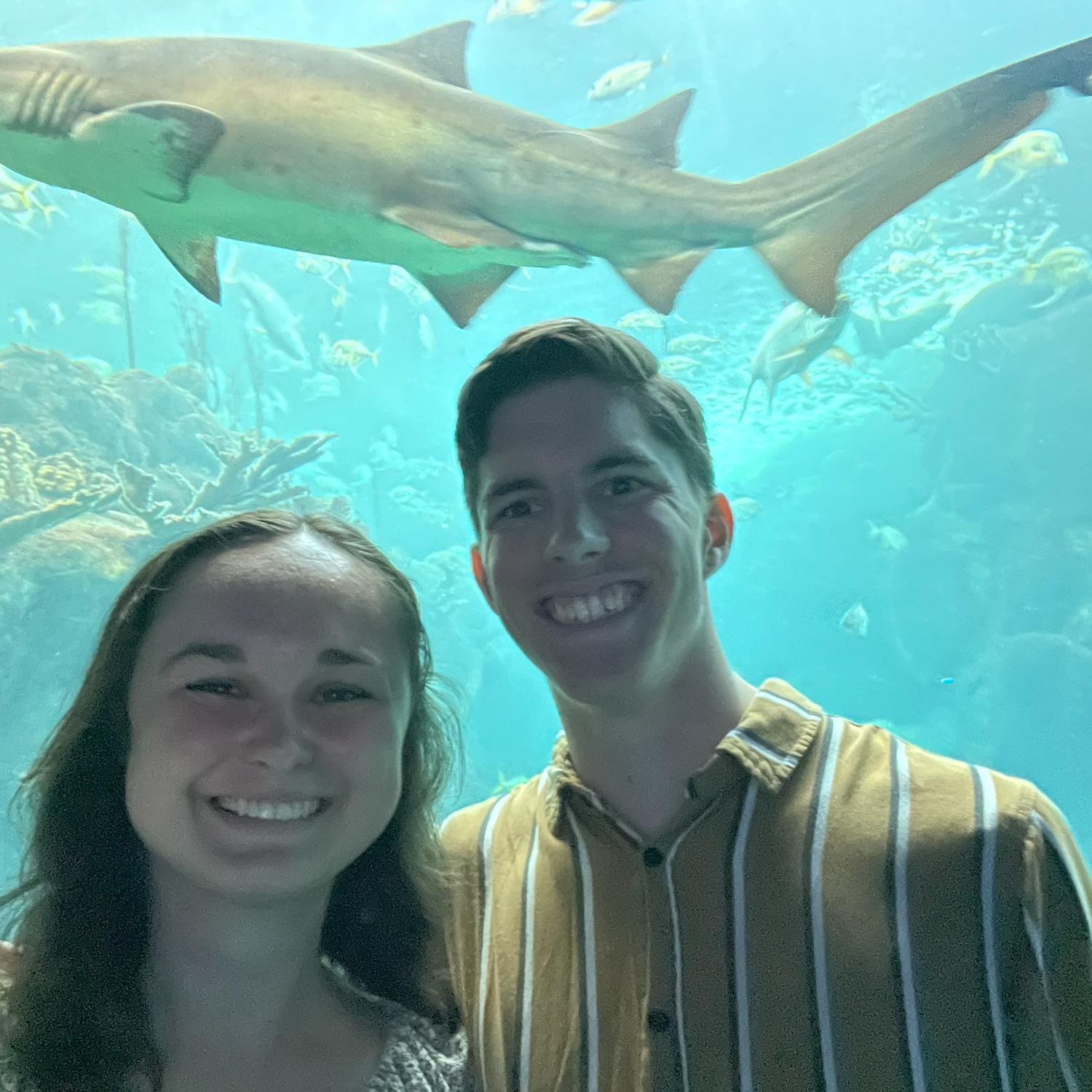 Visiting the Florida Aquarium