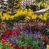 Denver Botanic Gardens
