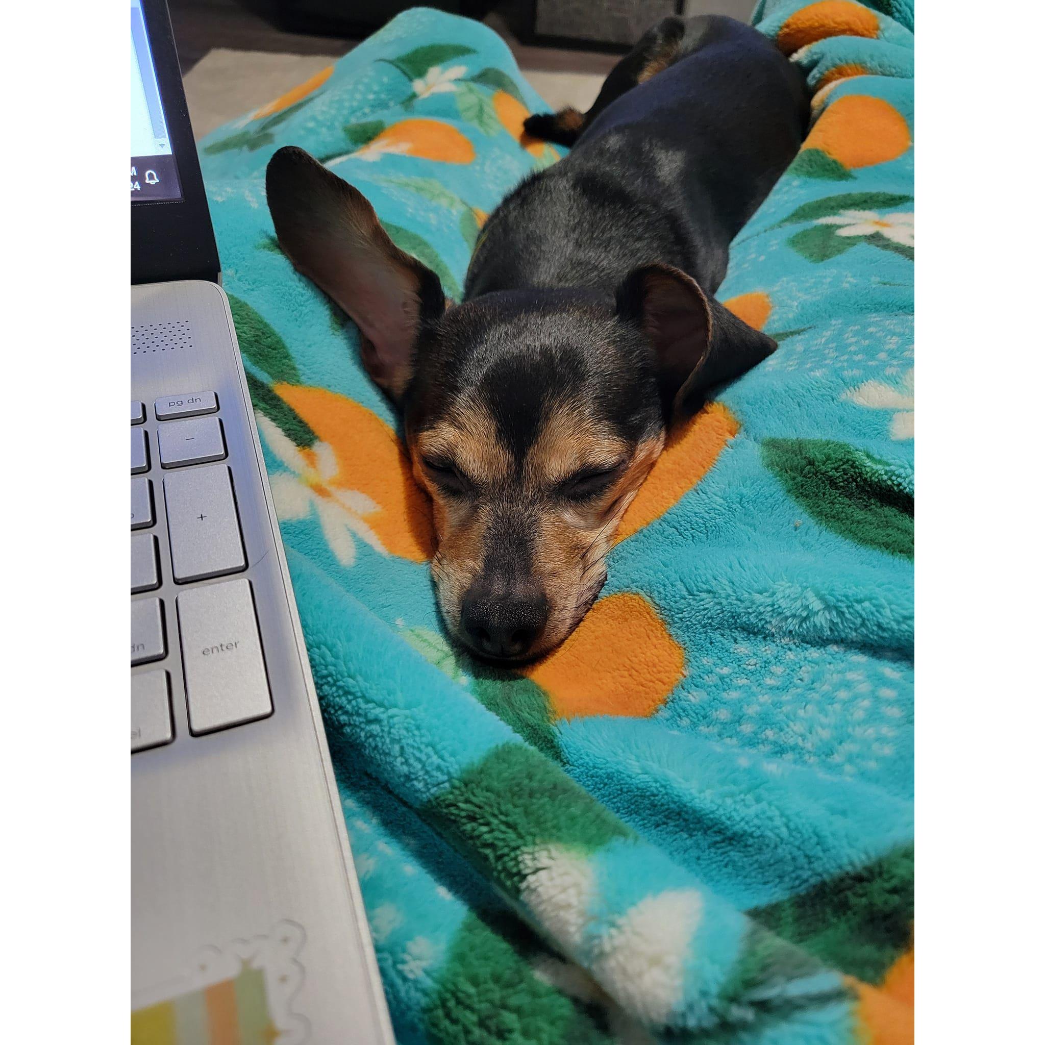 While he may not be in attendance, he has played a part in supervising this wedding planning