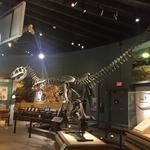 Raymond M. Alf Museum of Paleontology