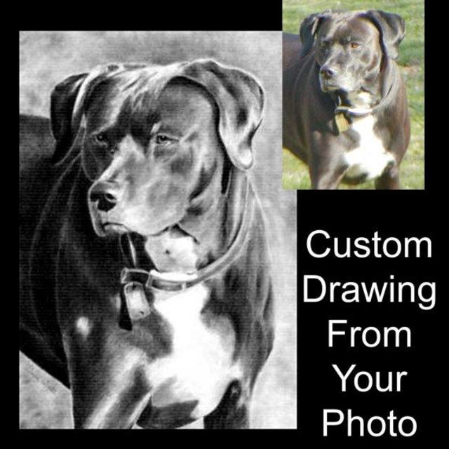 Custom Pet Portrait Drawing From Your Photo - 8x10 Original Personalized Dog Cat Pencil Sketch Art Drawing From Photograph