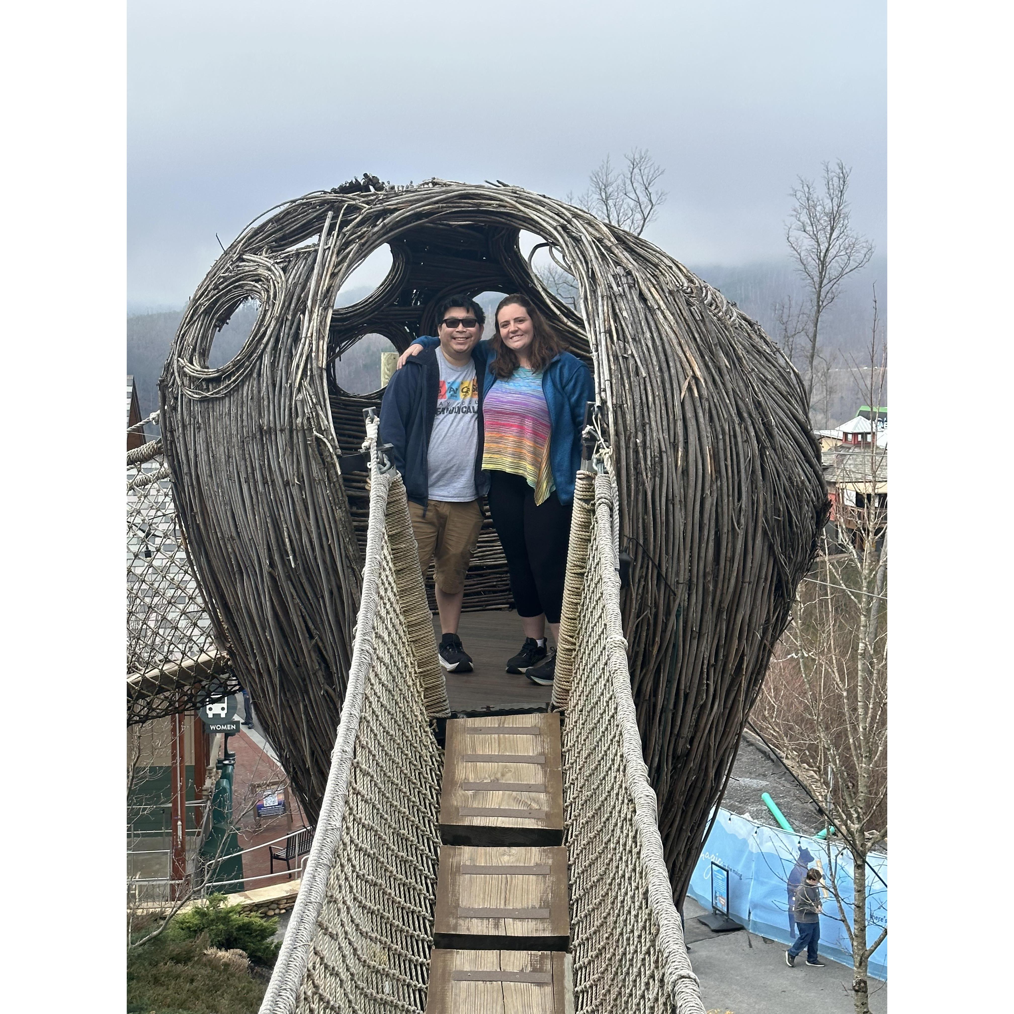 Anakeesta Pigeon Forge vacation