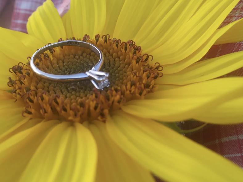 The Wedding Website of Ashley Belk and Nathaniel Walters
