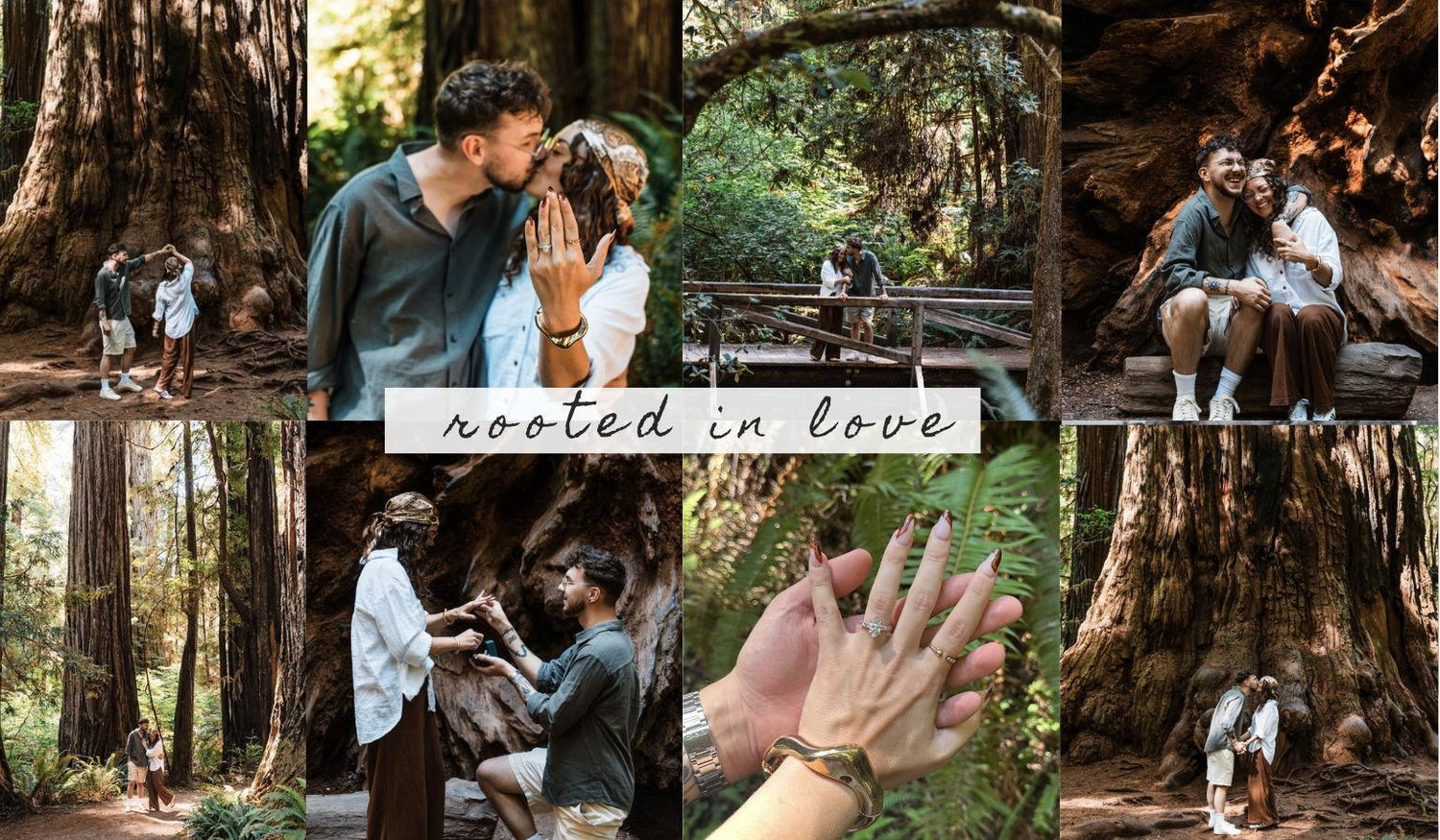 Footer image