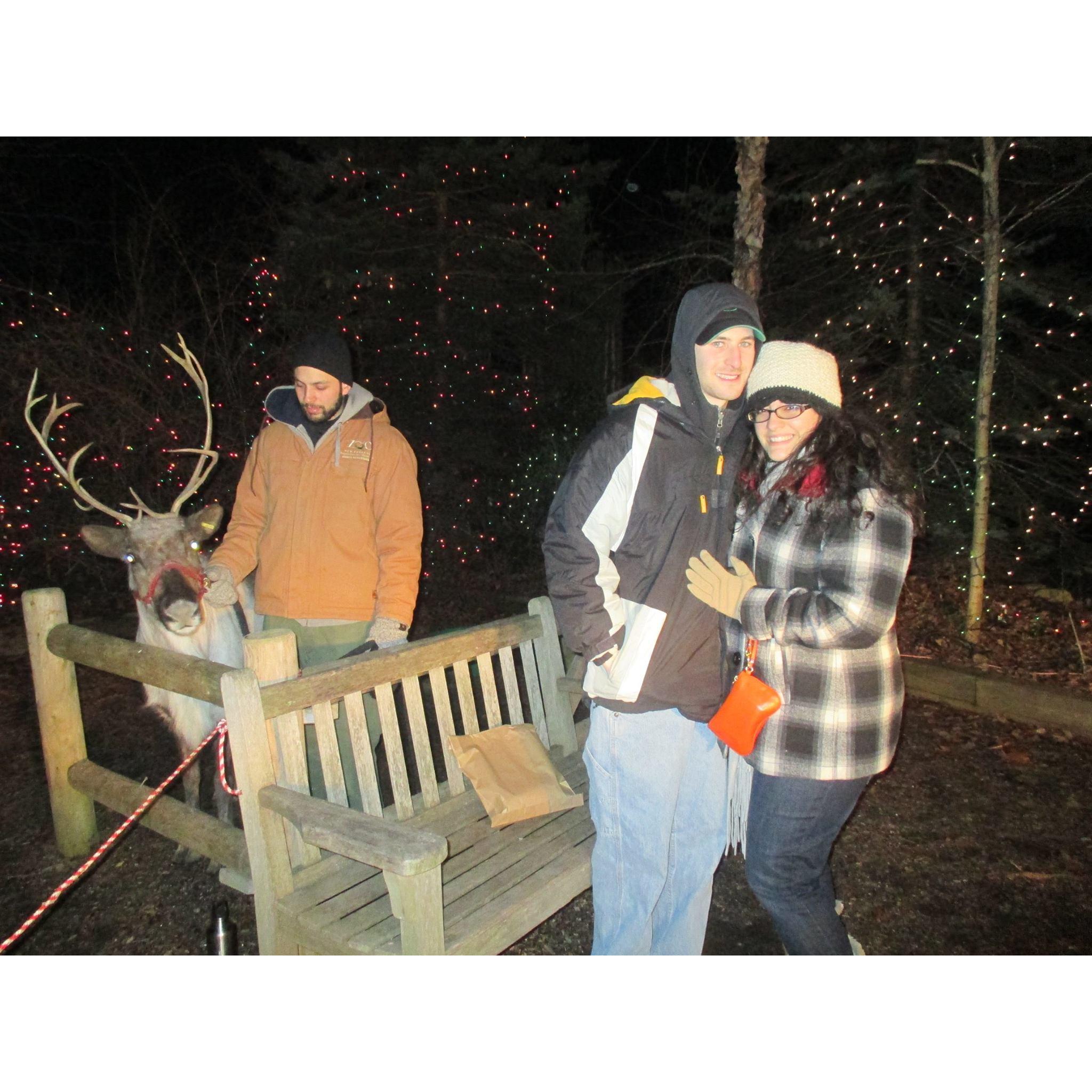 The beginning of a tradition - a picture with a reindeer (in the freezing cold) at Zoo Lights at Stone Zoo in Stoneham, MA!