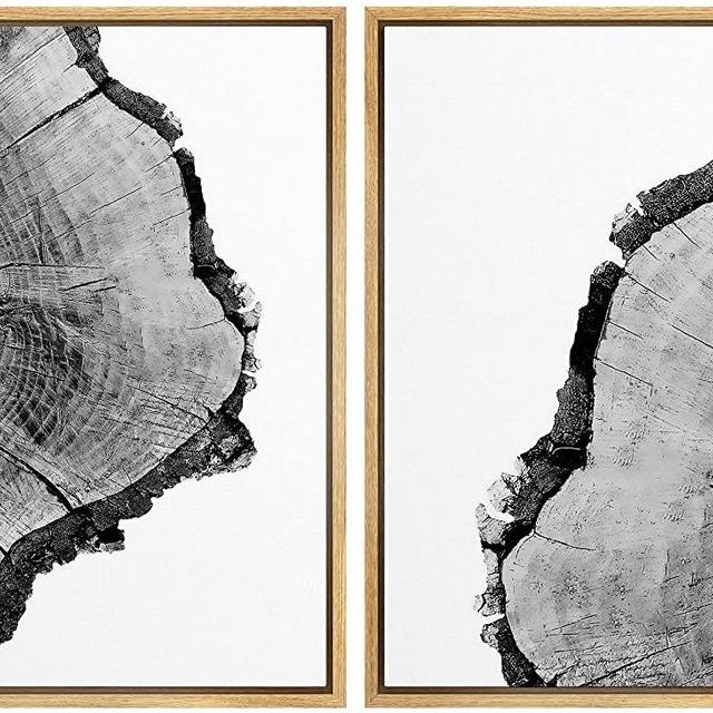 SIGNWIN Framed Wall Art Print Set Black & White Close Up Tree Ring Details Nature Wilderness Photography Modern Art Rustic Relax/Calm Multicolor for Living Room, Bedroom, Office - 24"x36"x2 Natural