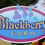 Blackberry Farm