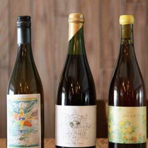 Visit to Japan's First Urban Winery in Osaka