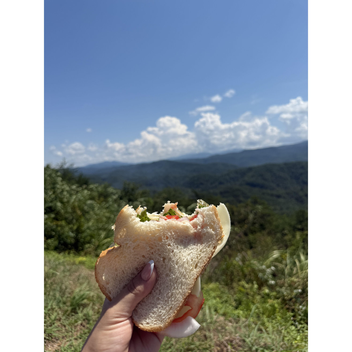 The worlds best sandwich (and view), made from the bed of Ethan's truck