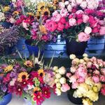 Saturday Morning Farmers Market