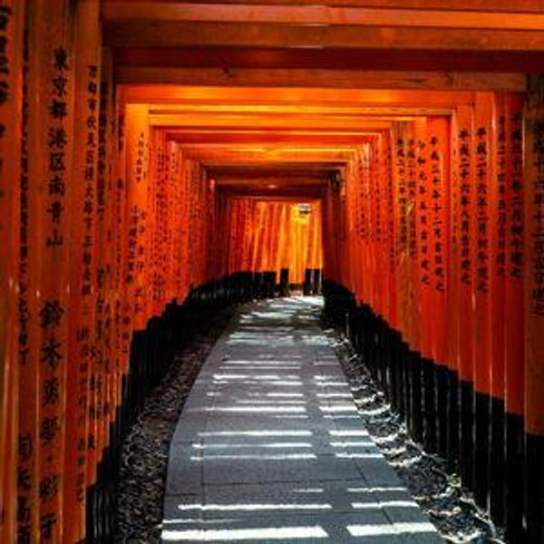 Kyoto: Fushimi Inari Shrine Walking Tour