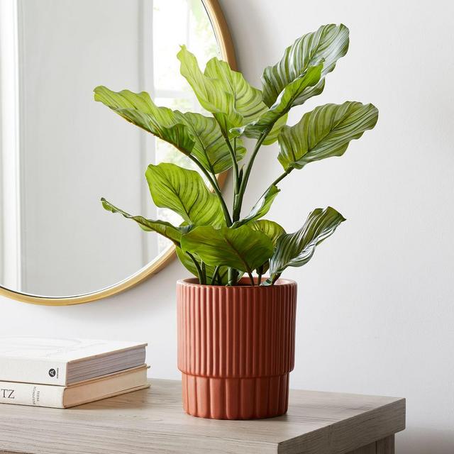 Faux Potted Apple Leaf, 23in