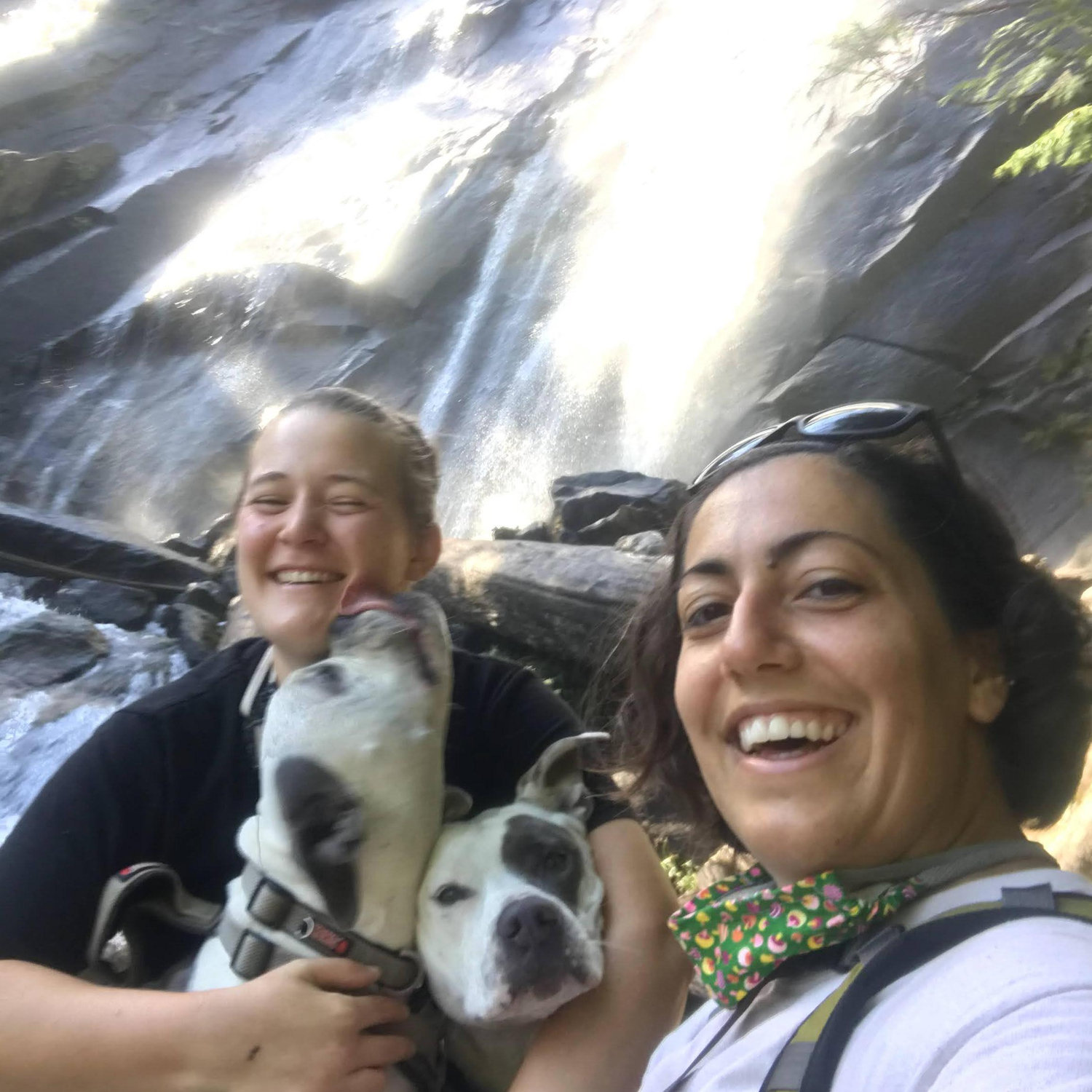 Trying and always failing to get a good selfie with the pups at Bridal Veil Falls, August 2020